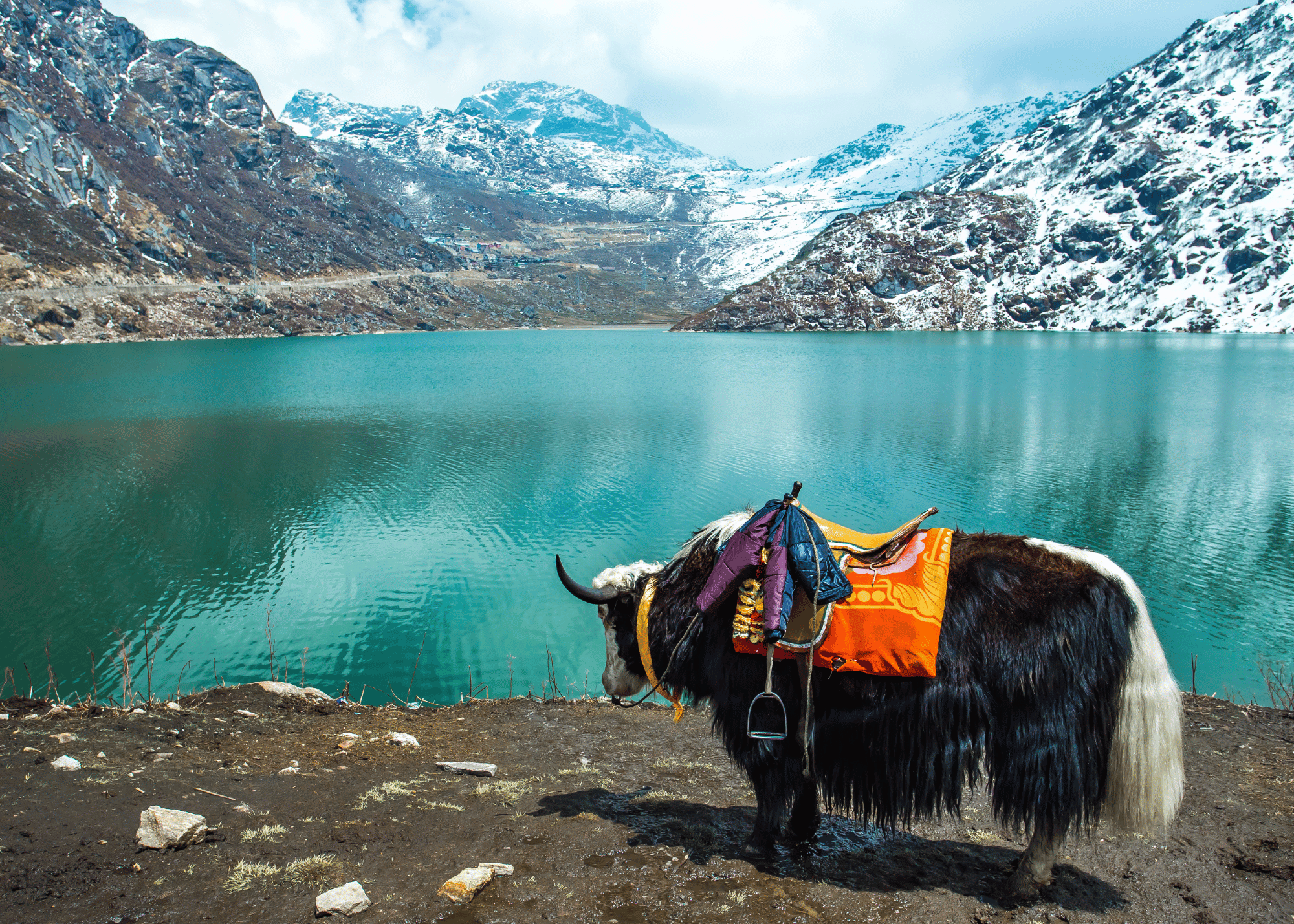East Sikkim