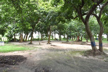 Kankalitala