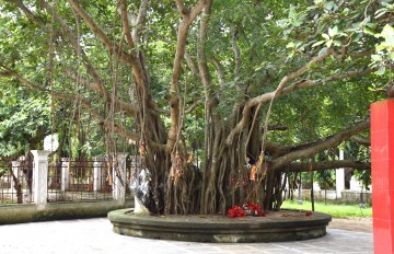 Kankalitala