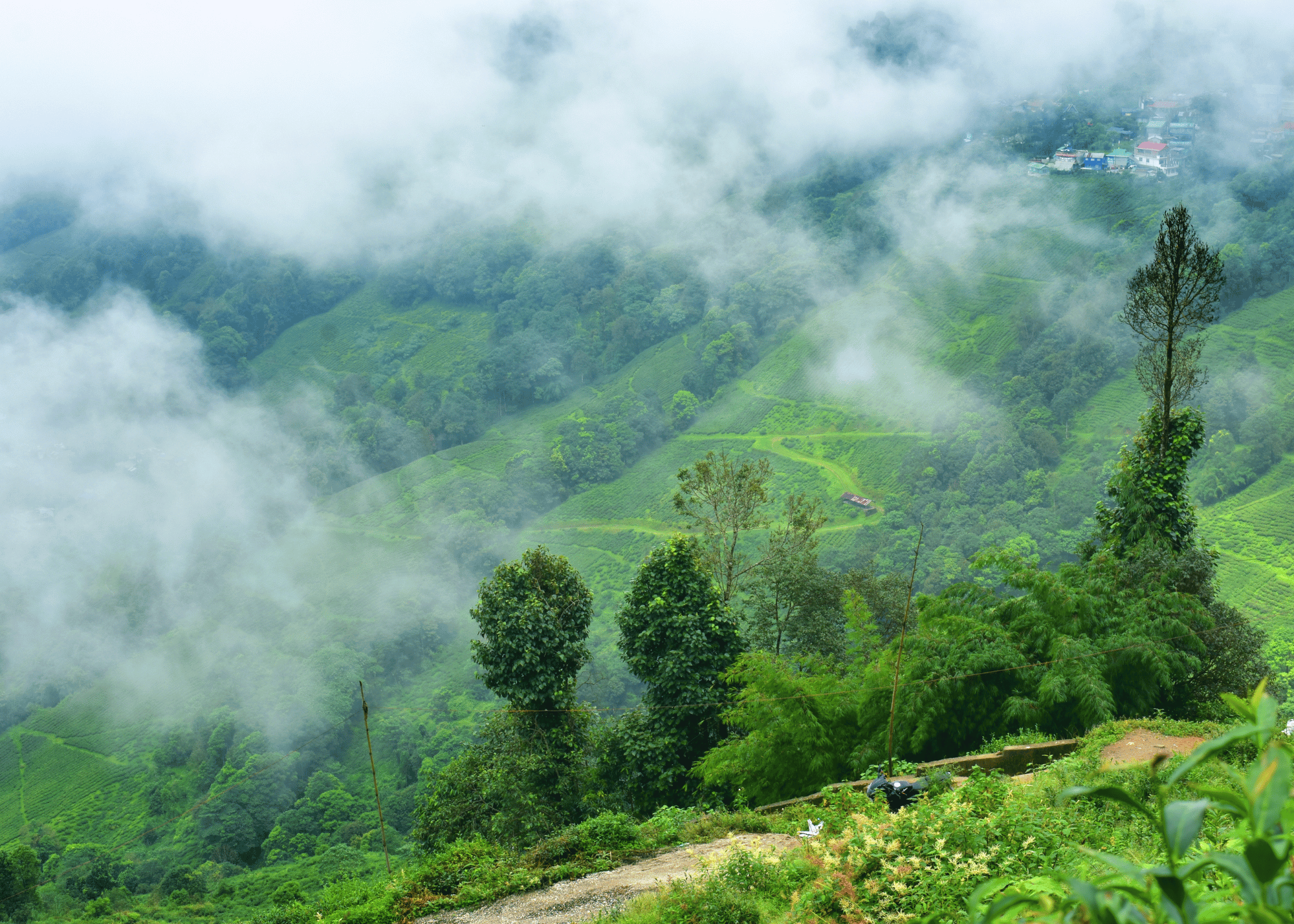 Darjeeling