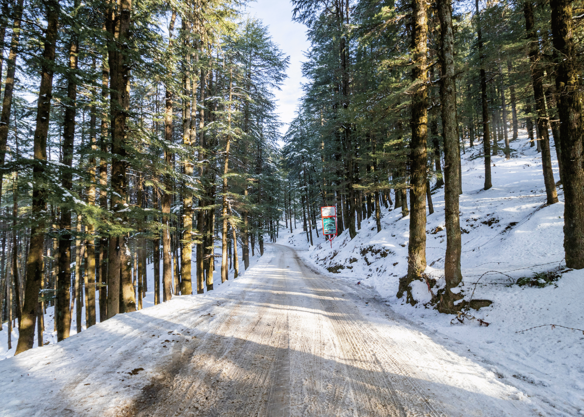 Shimla