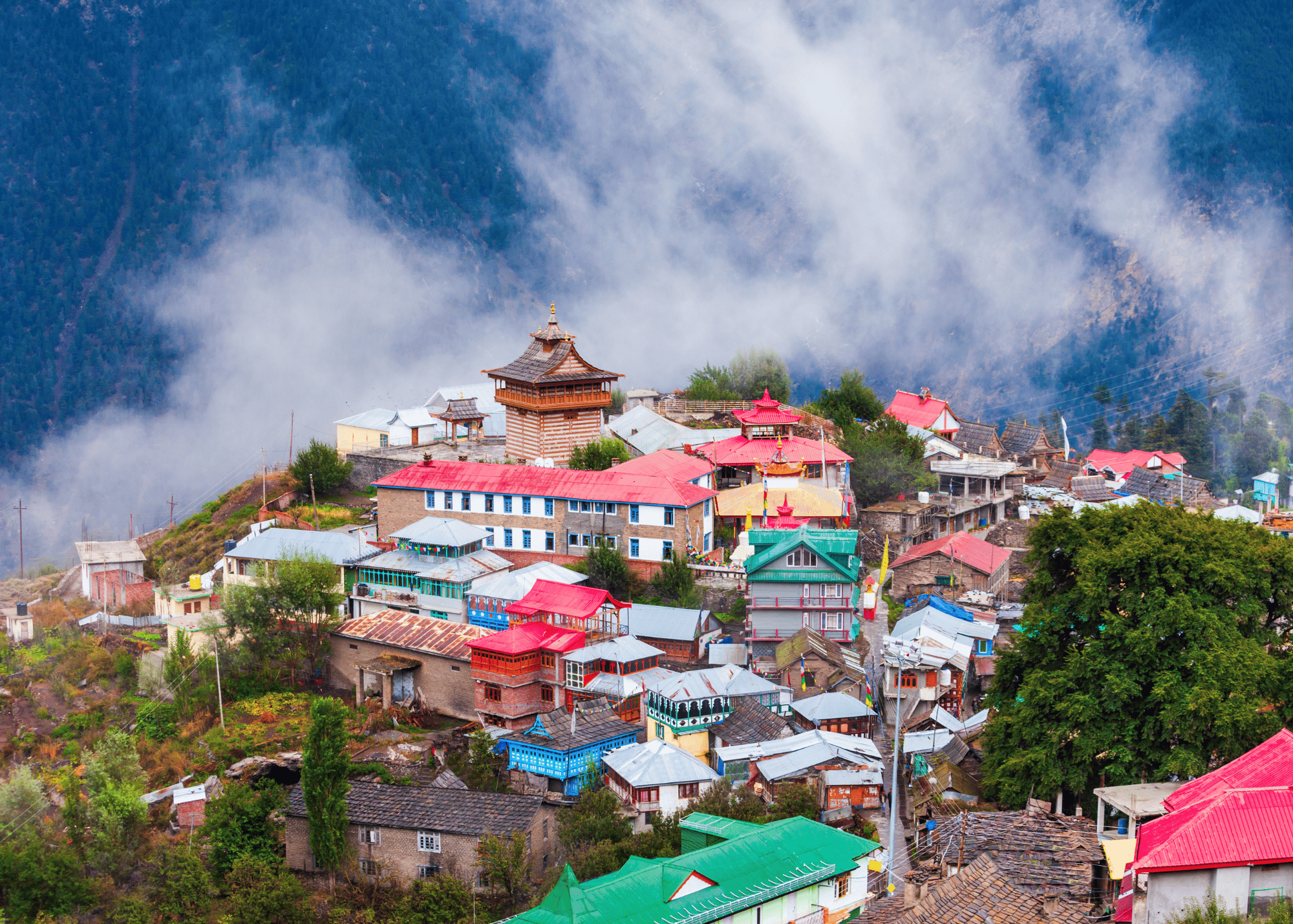 Shimla