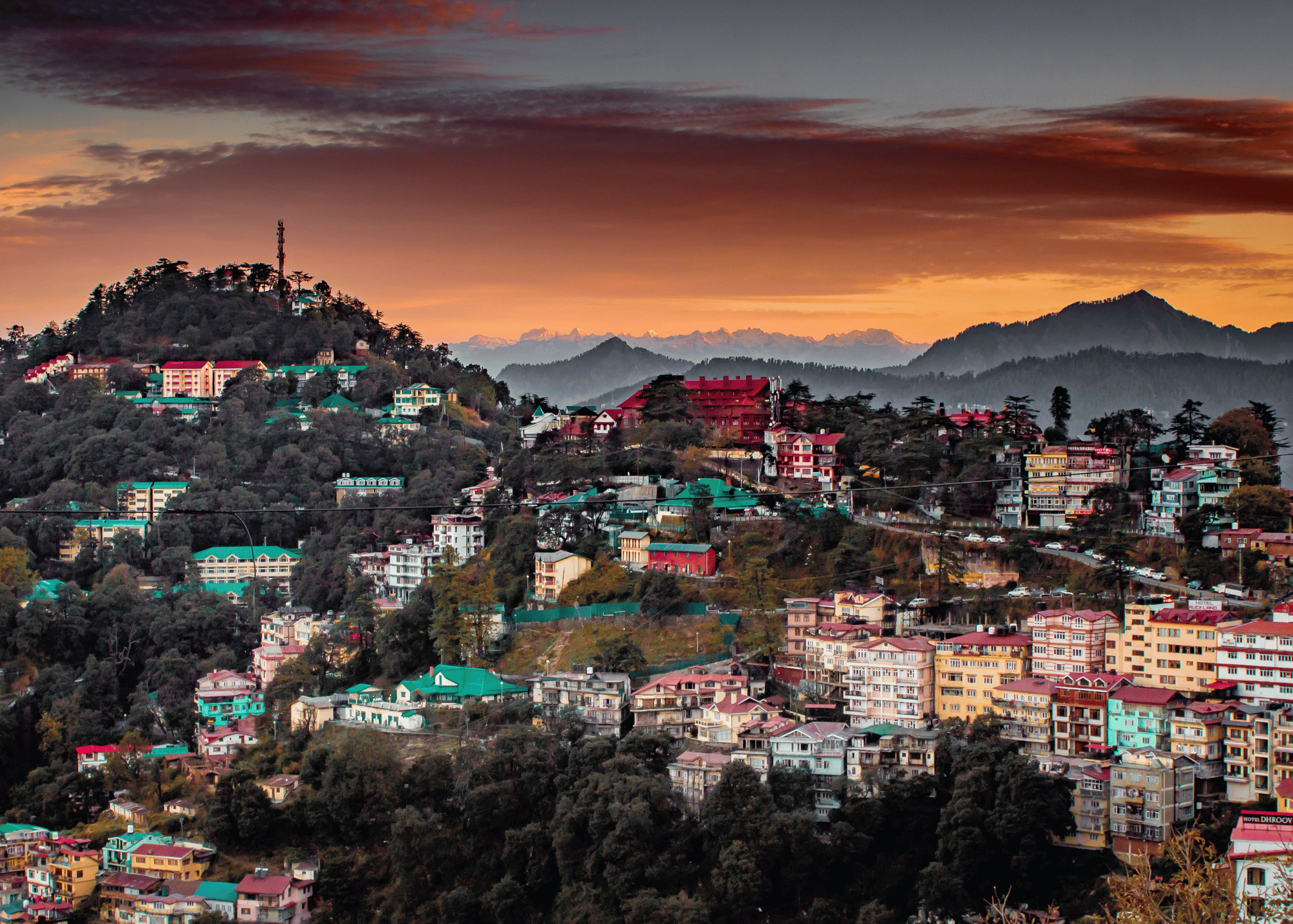 Shimla