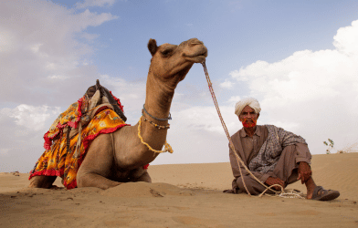 Rajasthan-6